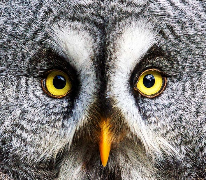 _DSC0985-Super Resolution-mini