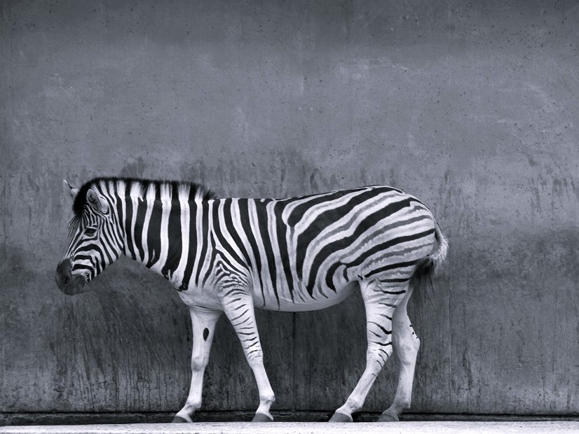 Heute gestreift 40x30 Kopie klein