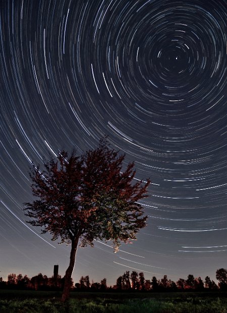 Star Trail-Baum-mini