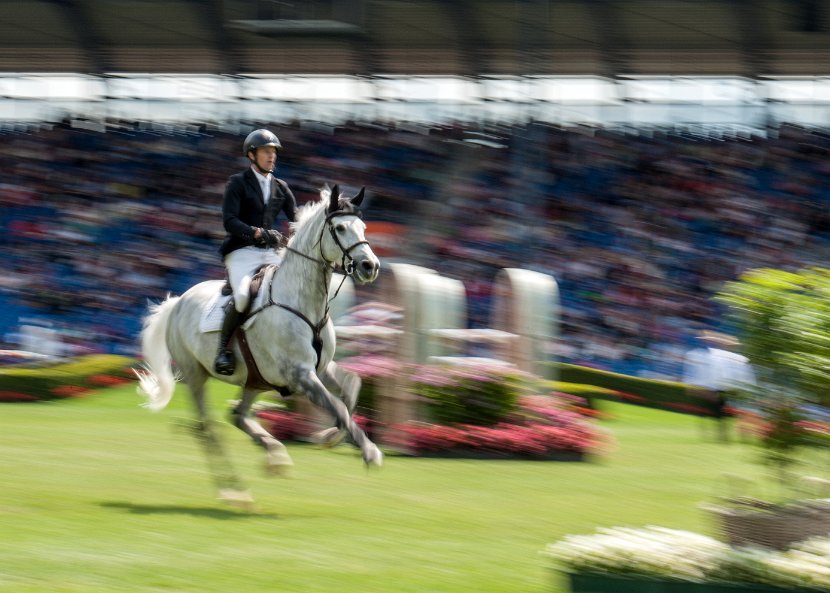 Pferdesport Reiten  - Feature-