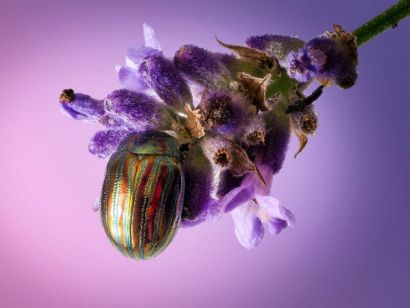 2023-06-24 16-16-58 -b-(C,Smoothing4)