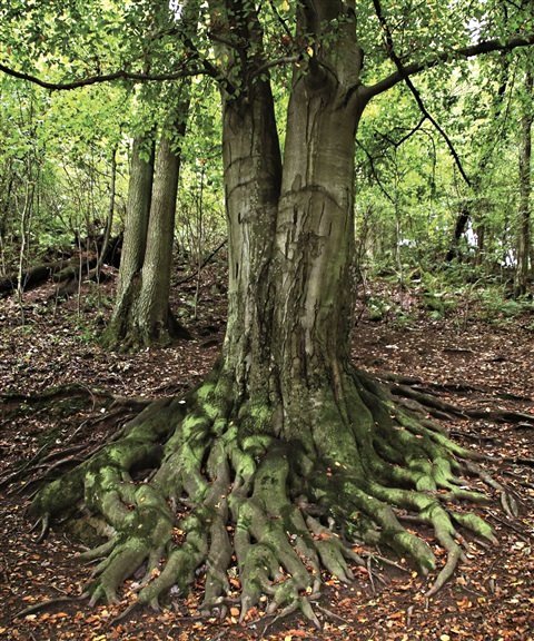 Sonderausstellung 2_1