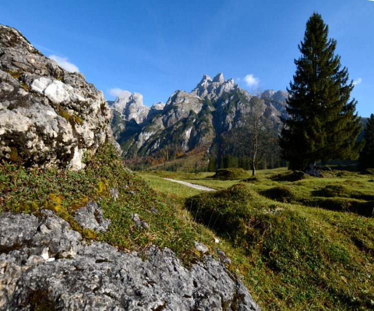 Michael Klöcker - Baumgrenze