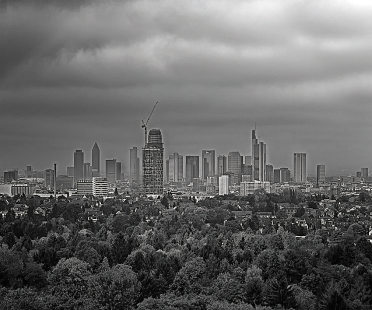 Reiner_Austellung_Baeume_2019_2