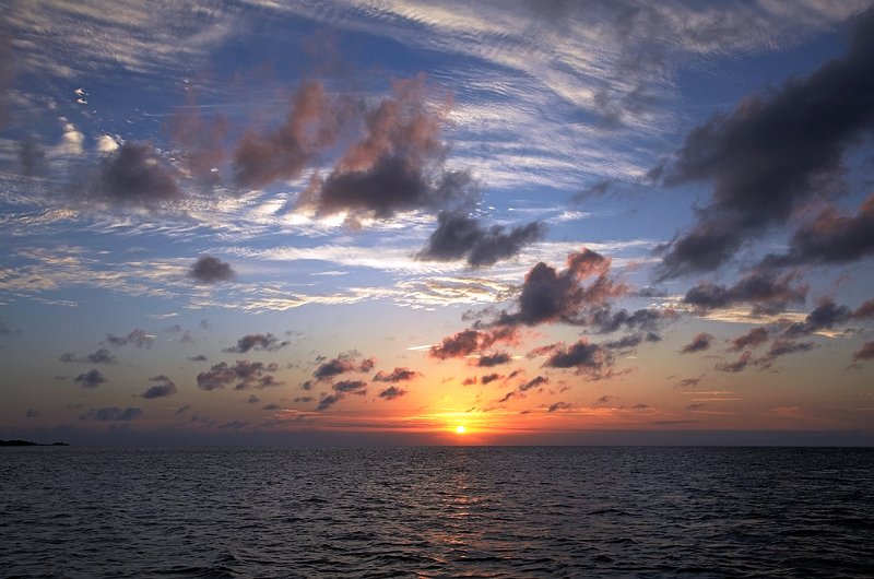 _MG_8153-Gal-2012-Seeloewen