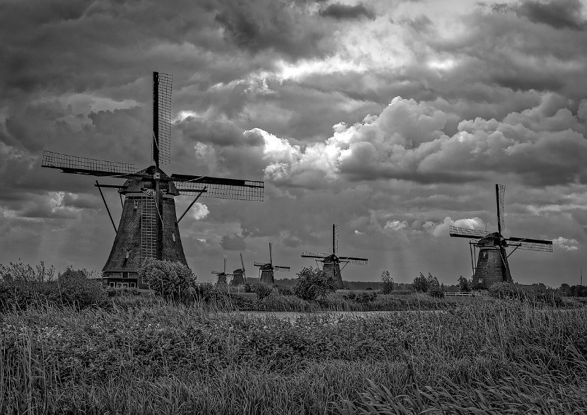 Krauss_Reiner_16_006