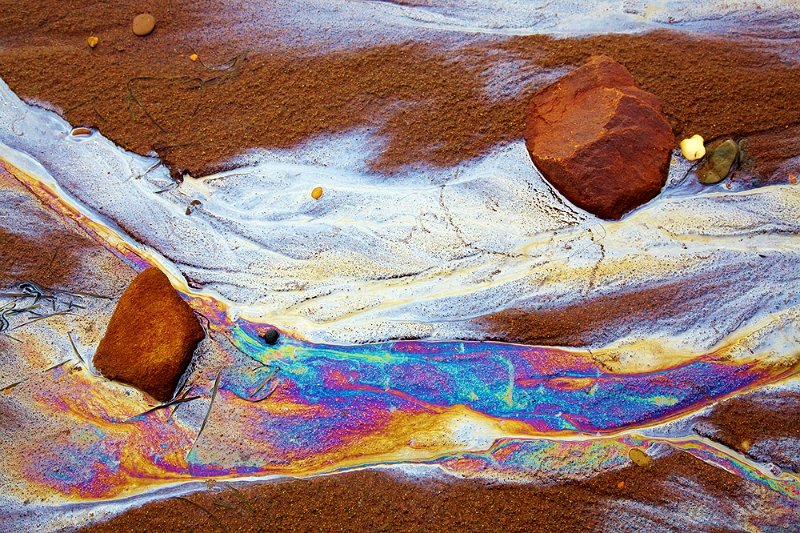 _MG_3541-Farbenspiel