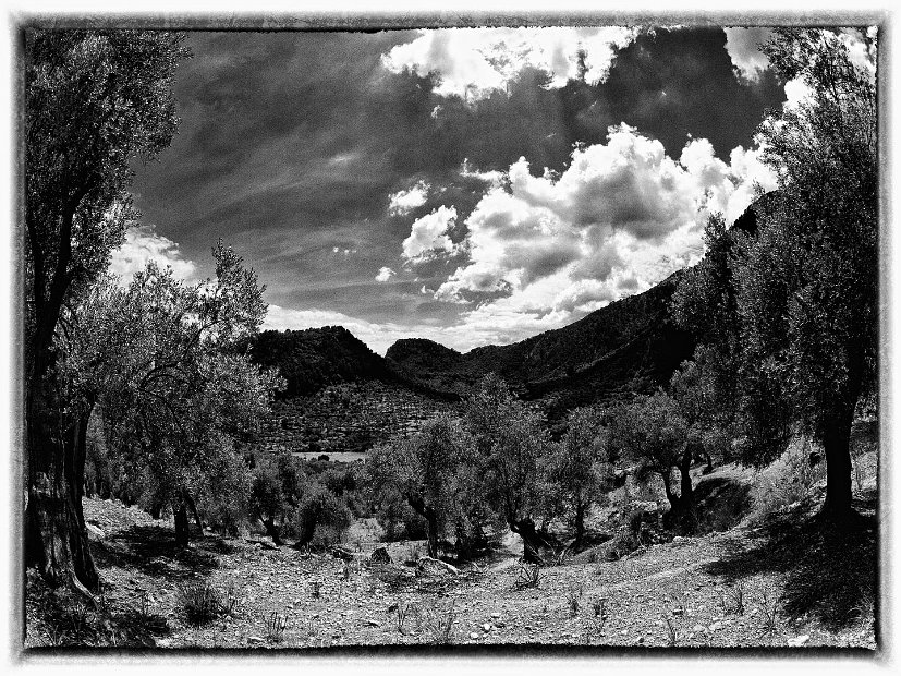 mp_heinz_beckers_mallorca