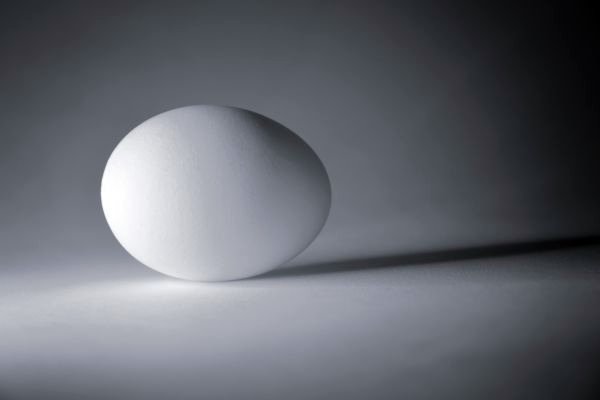 Apr_McLaughlin klein